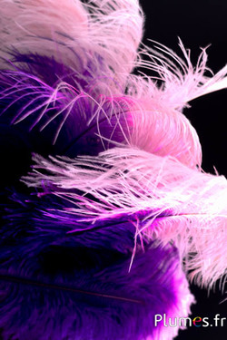 Autruche - 30-40 cm - violet-fuchsia-rose tendre